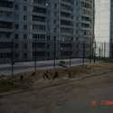 DSC07142.jpg